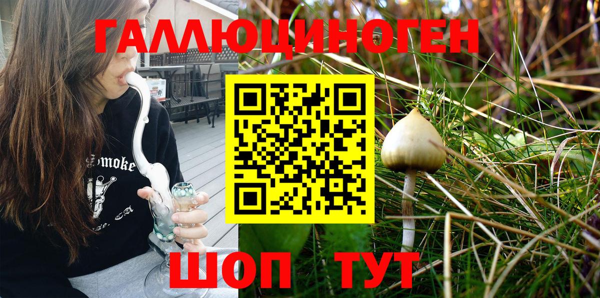 сколько стоит  Вход с VPN  Советск  Псилоцибиновые грибы MAGIC MUSHROOMS 