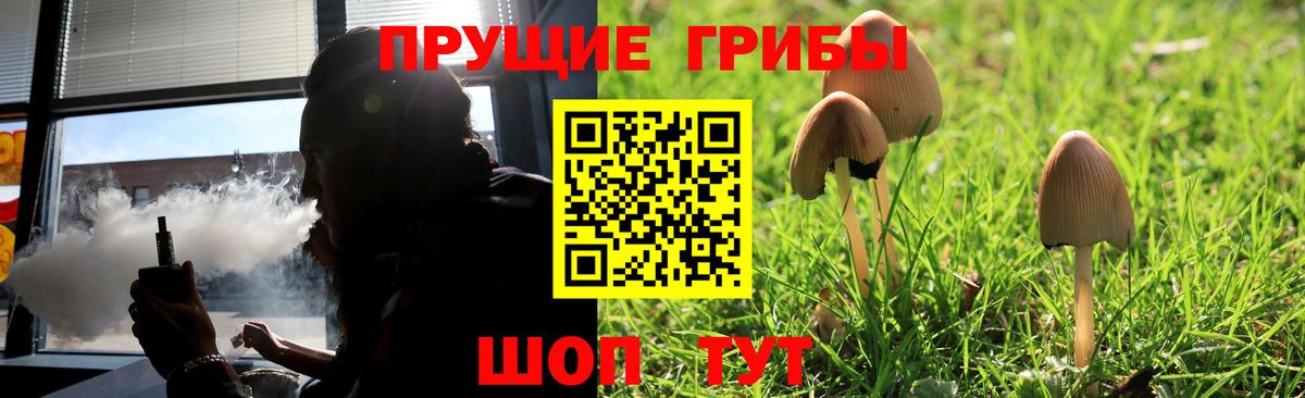 Галлюциногенные грибы мицелий Советск